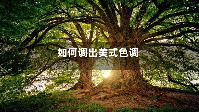 如何调出美式色调