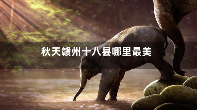 秋天赣州十八县哪里最美