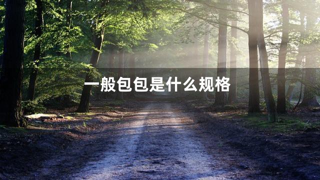 一般包包是什么规格