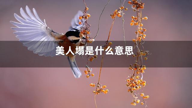 美人塌是什么意思