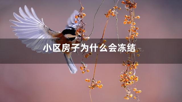 小区房子为什么会冻结