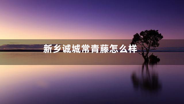 新乡诚城常青藤怎么样