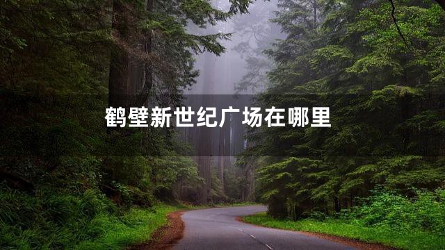鹤壁新世纪广场在哪里
