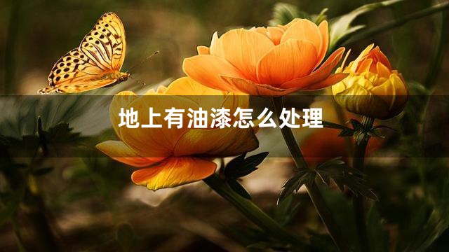 地上有油漆怎么处理