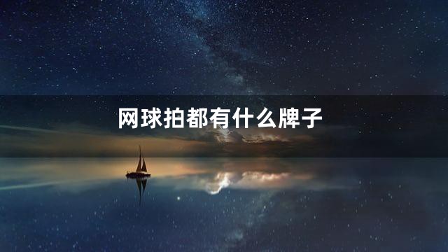 网球拍都有什么牌子