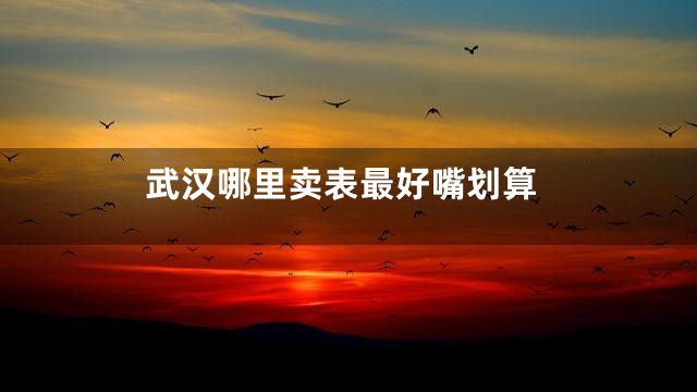 武汉哪里卖表最好嘴划算