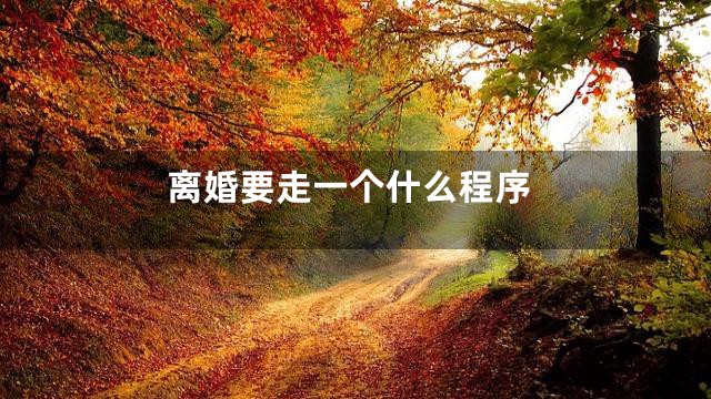 离婚要走一个什么程序