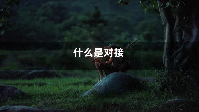 什么是对接