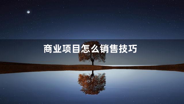 商业项目怎么销售技巧