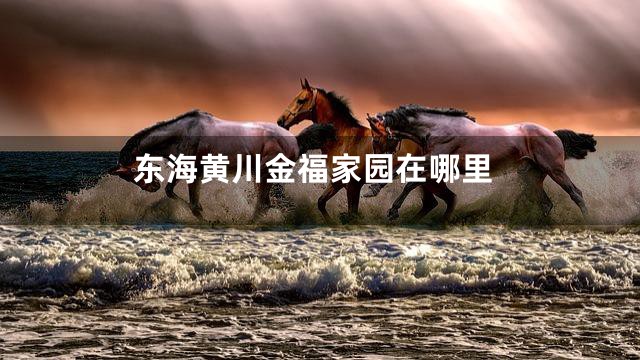 东海黄川金福家园在哪里