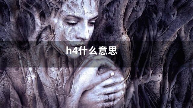 h4什么意思