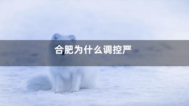 合肥为什么调控严