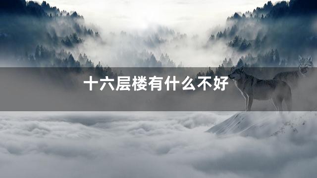 十六层楼有什么不好