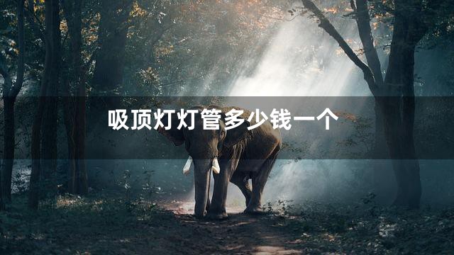 吸顶灯灯管多少钱一个