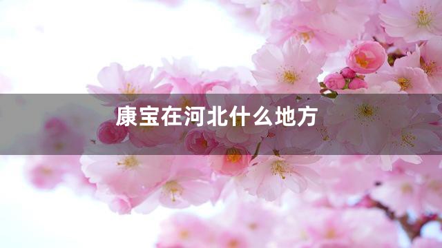康宝在河北什么地方