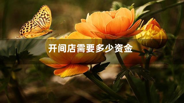开间店需要多少资金