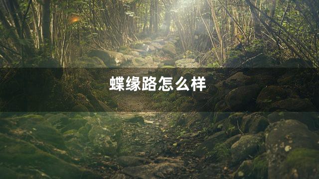 蝶缘路怎么样
