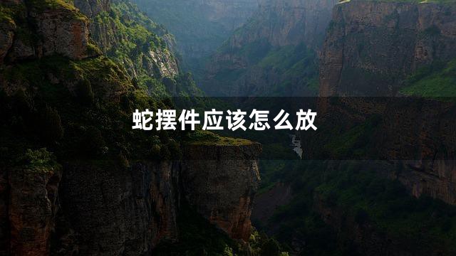 蛇摆件应该怎么放