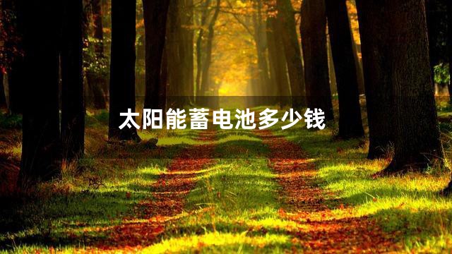 太阳能蓄电池多少钱