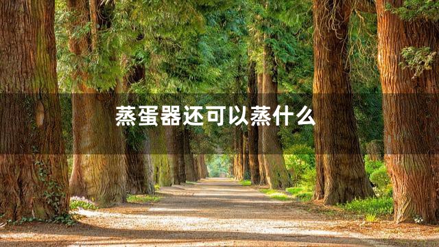 蒸蛋器还可以蒸什么