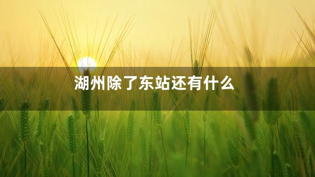湖州除了东站还有什么