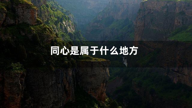 同心是属于什么地方