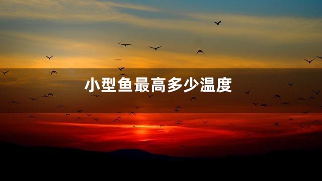 小型鱼最高多少温度