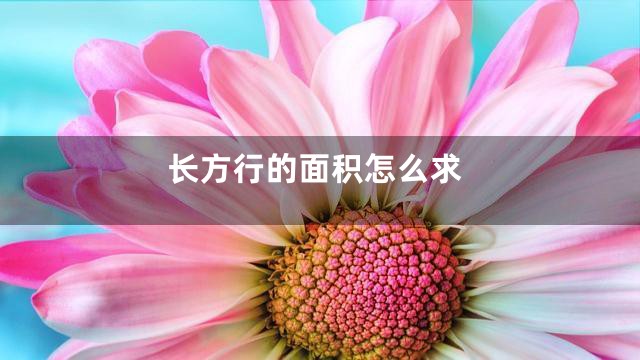 长方行的面积怎么求