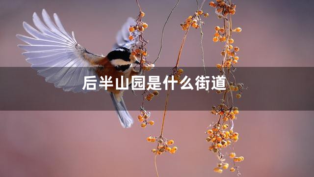 后半山园是什么街道