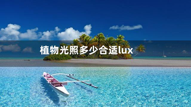 植物光照多少合适lux