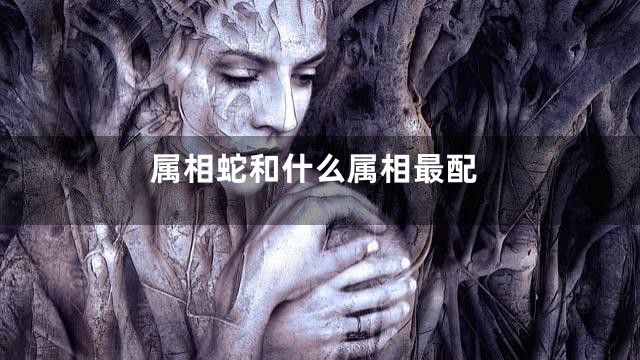 属相蛇和什么属相最配