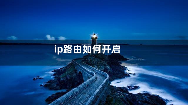 ip路由如何开启