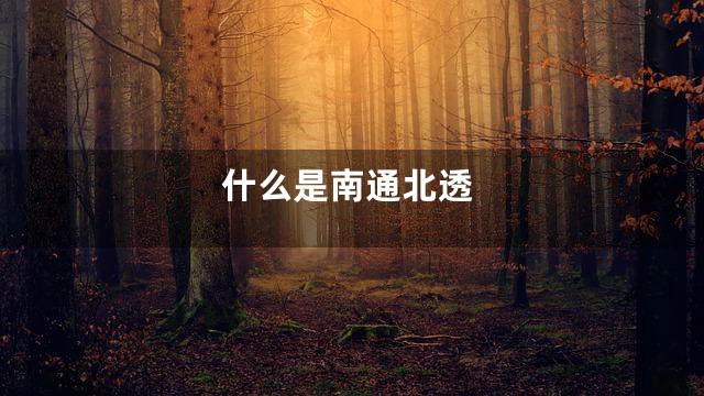 什么是南通北透