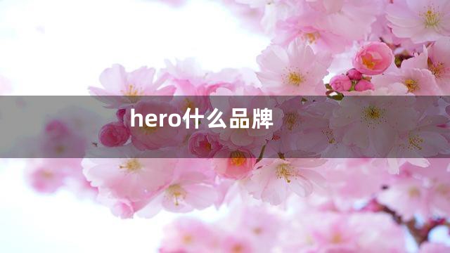hero什么品牌
