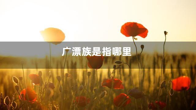 广漂族是指哪里