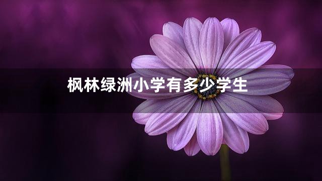 枫林绿洲小学有多少学生