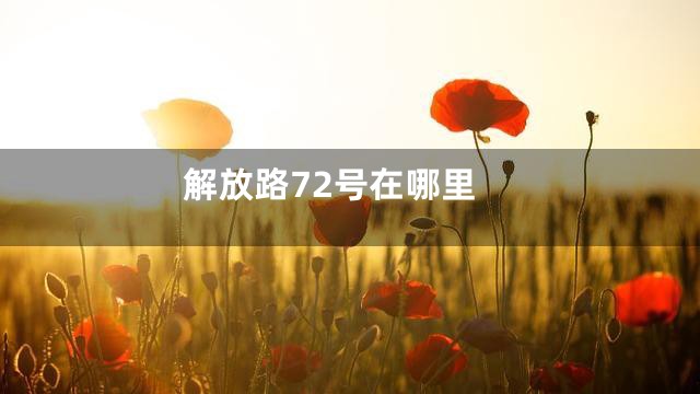 解放路72号在哪里