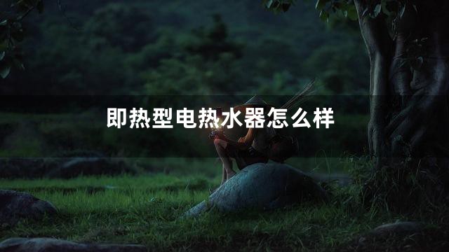 即热型电热水器怎么样