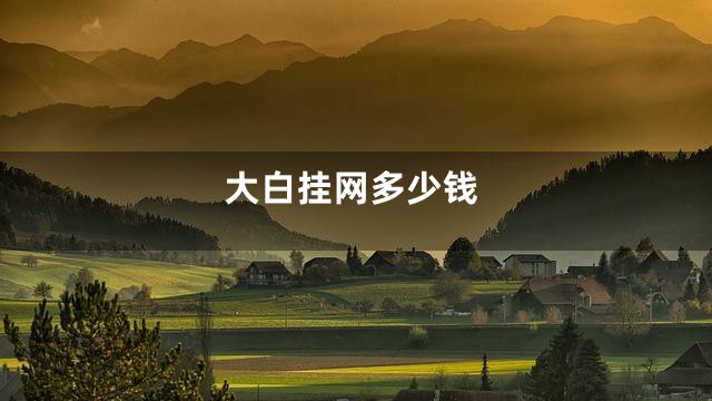 大白挂网多少钱