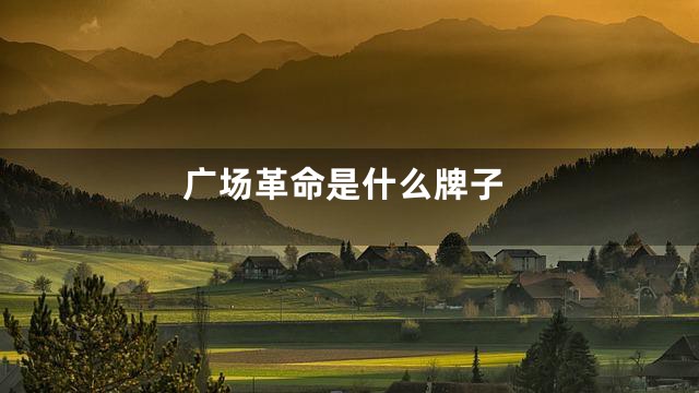 广场革命是什么牌子