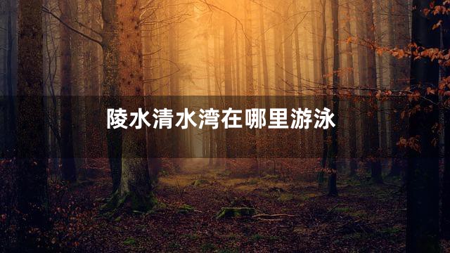 陵水清水湾在哪里游泳