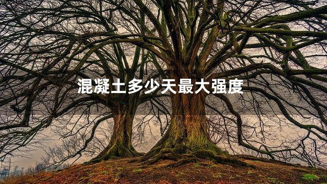 混凝土多少天最大强度