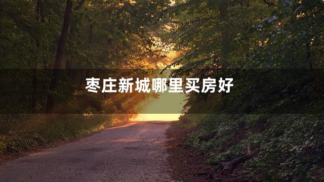 枣庄新城哪里买房好