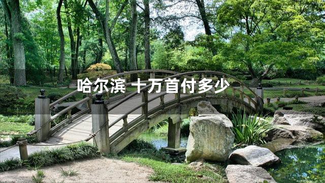 哈尔滨 十万首付多少