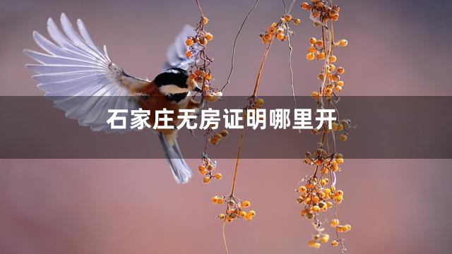 石家庄无房证明哪里开