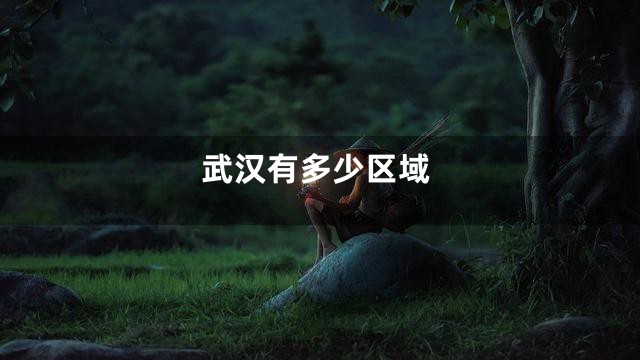 武汉有多少区域