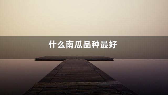 什么南瓜品种最好