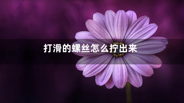 打滑的螺丝怎么拧出来