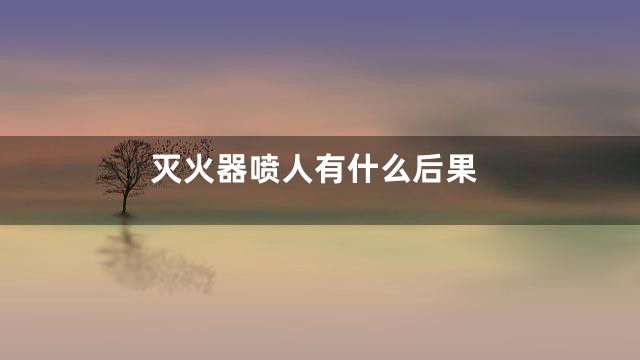 灭火器喷人有什么后果