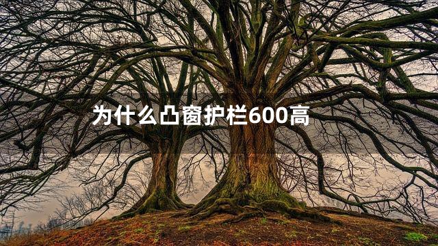 为什么凸窗护栏600高